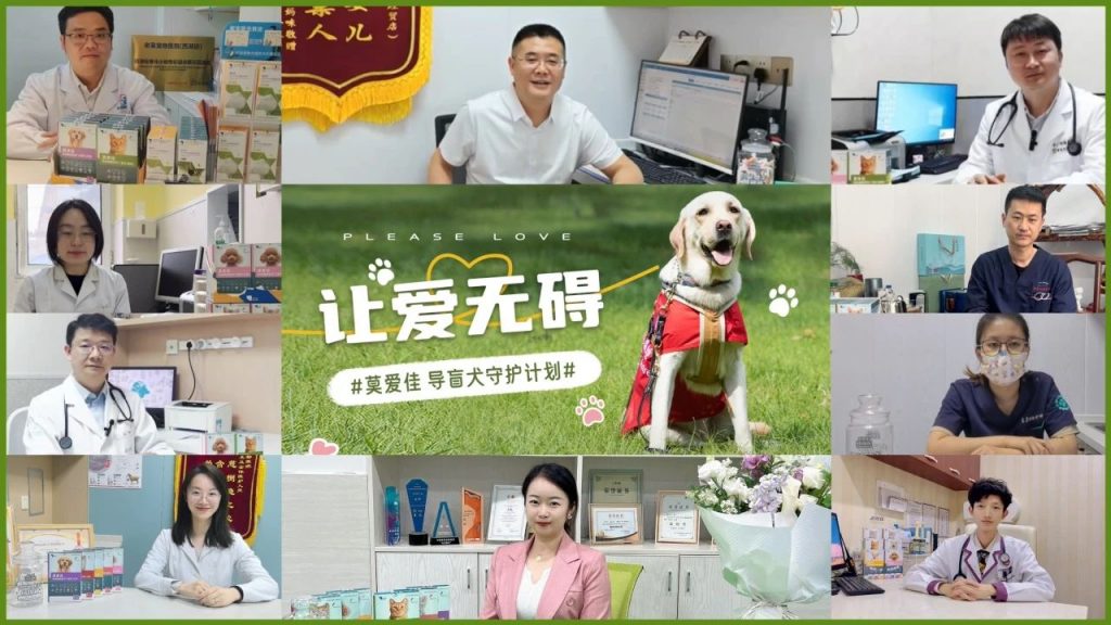 345-1024x576 11cfeb3417b8f214b29b21e169520f71.jpg